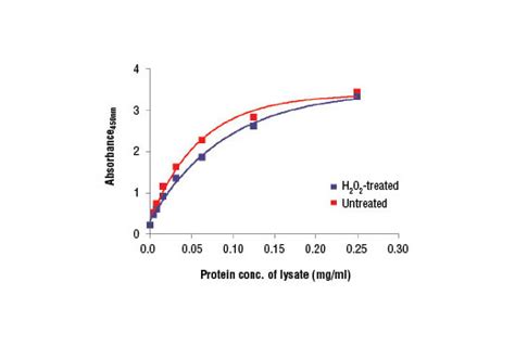 acetyl coa elisa kit|A.